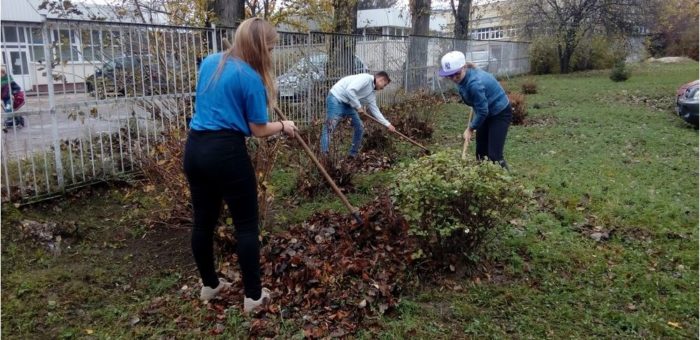 Szkolne Koło Wolontariatu jesienią