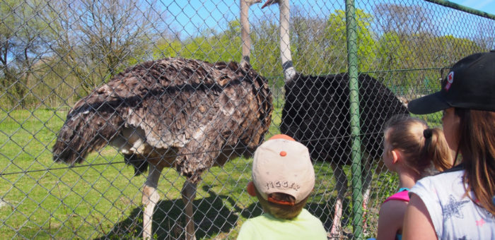 Wycieczka do Nowego Zoo