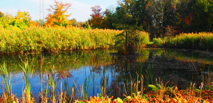 Jesienne warsztaty klasy 1b – Ogród Botaniczny