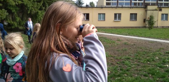 Poznajemy ptaki – lekcja przyrody w klasie IVa