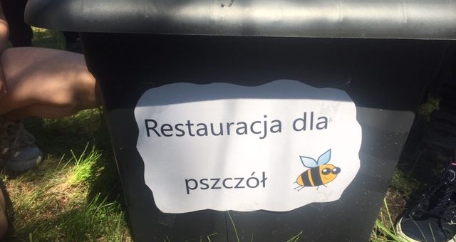 Restauracja dla pszczół i kwiatowe warsztaty :)