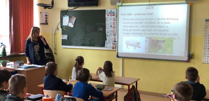 Kto spotyka w lesie dzika… Warsztaty 3a