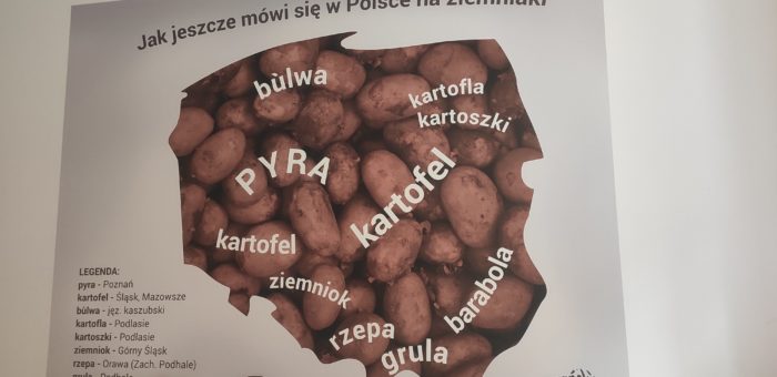Poznańskie Muzeum Pyry – 2b i 3a