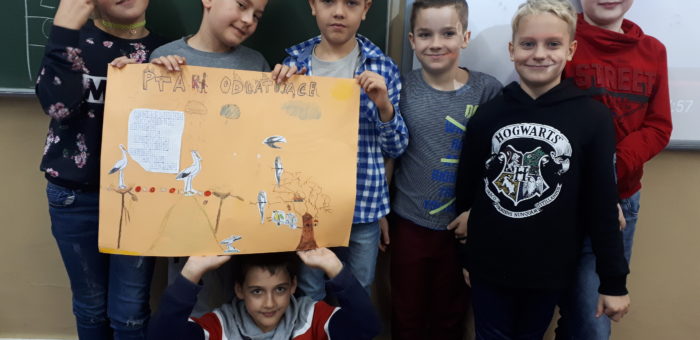 Kim jest ornitolog? Lekcja 3B :)