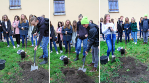 Uczniowie sadzą drzewo