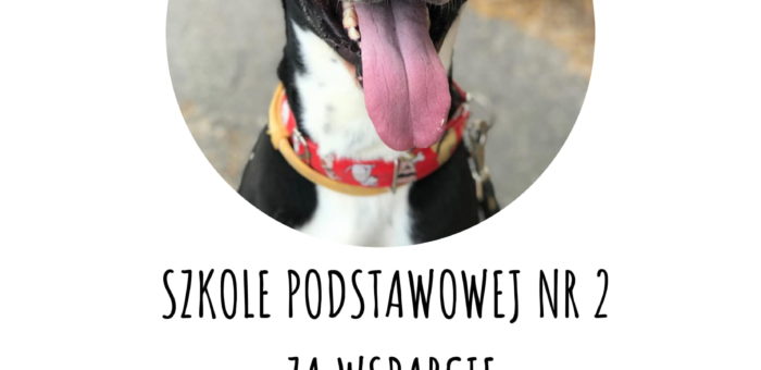 Podziękowania ze schroniska