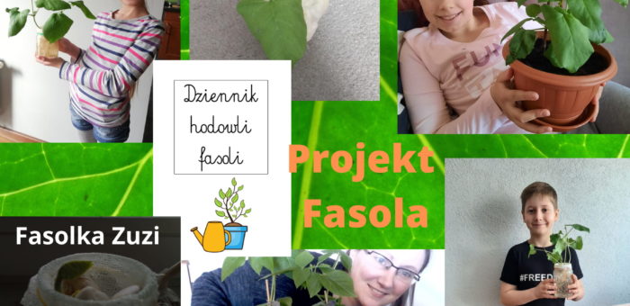 Hodowla fasoli | Klasa 3B
