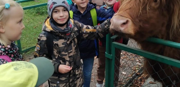Wycieczka do Starego Zoo | Klasa 2C