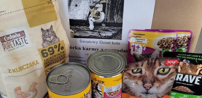 Podsumowanie akcji  „Pomóżmy razem poznańskim Kociambrom!”