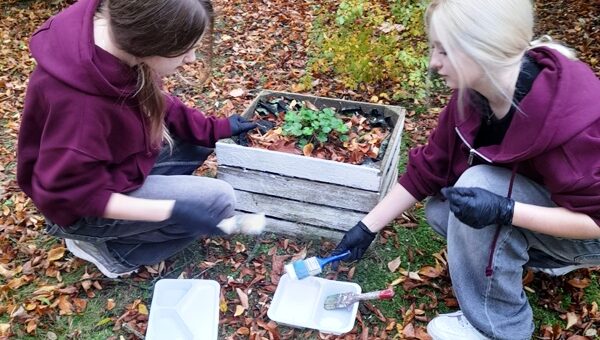 Działania wolontariatu | klasa 8cu